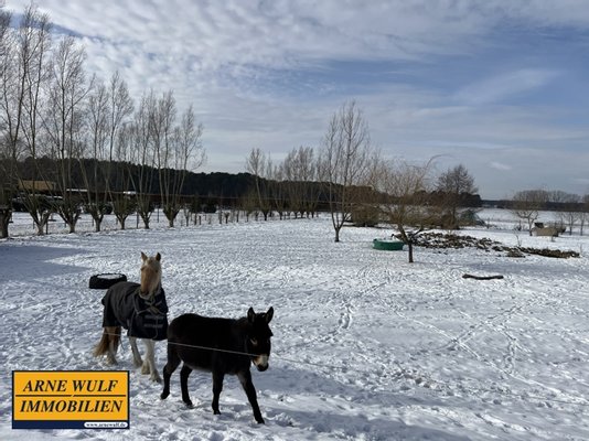 Immobilie in Brenz - Exklusives Wohnanwesen mit großzügigem Grundstück**Neu Brenz / Neustadt-Glewe** - Bild 32