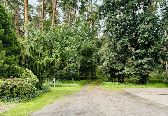 Immobilie in Wusterwitz - Bungalow-Charakter mit Garten & langfristiger Zusatzmiete - Bild 39