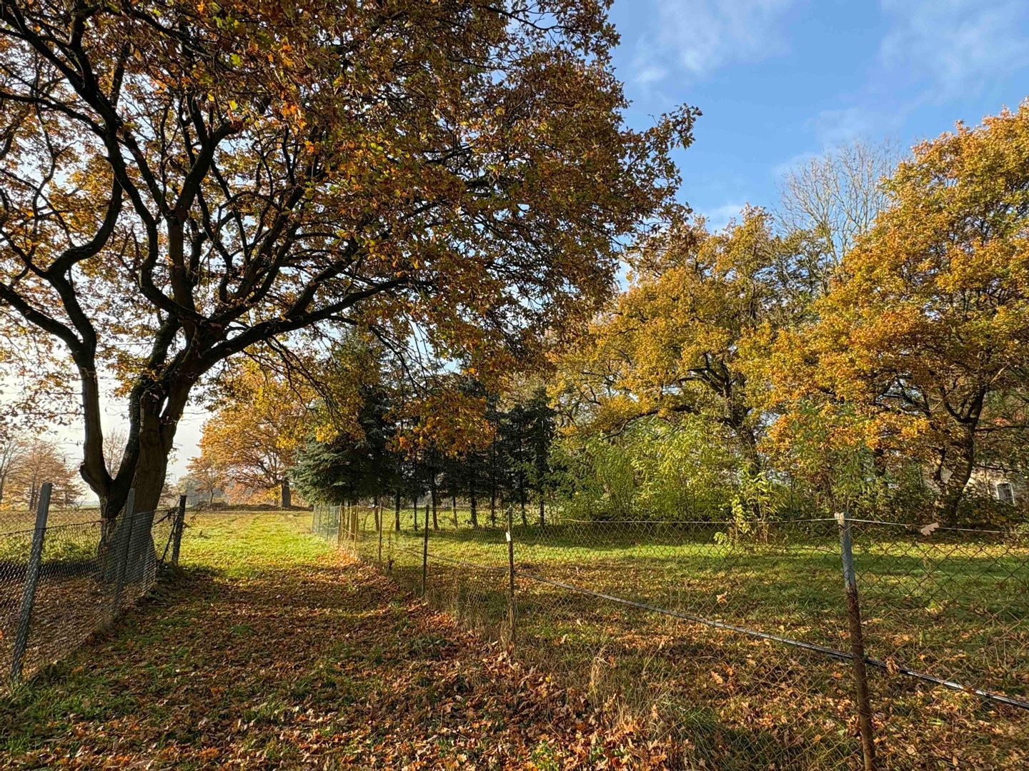 Immobilie in Karstädt - Haus, Hof & Land für Ruhe-Suchende! Schöne Dorflage bei Karstädt - Bild 4