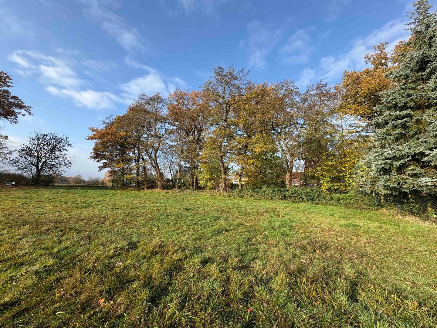 Immobilie in Karstädt - Haus, Hof & Land für Ruhe-Suchende! Schöne Dorflage bei Karstädt - Bild 5