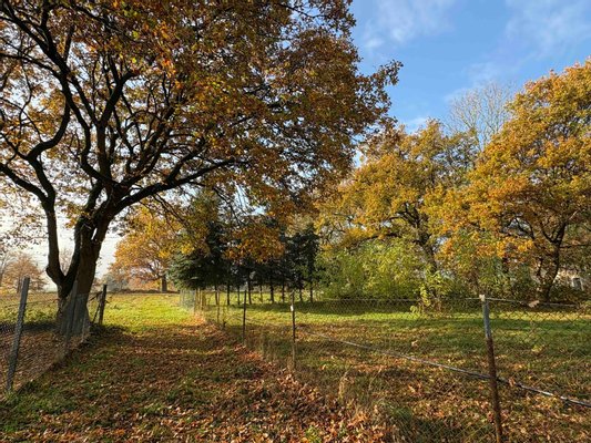 Immobilie in Karstädt - Haus, Hof & Land für Ruhe-Suchende! Schöne Dorflage bei Karstädt - Bild 31